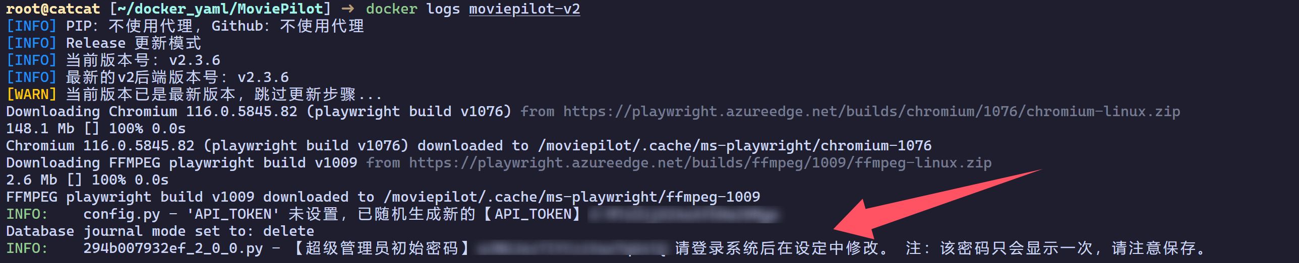 终端显示程序日志信息，含更新和下载步骤
