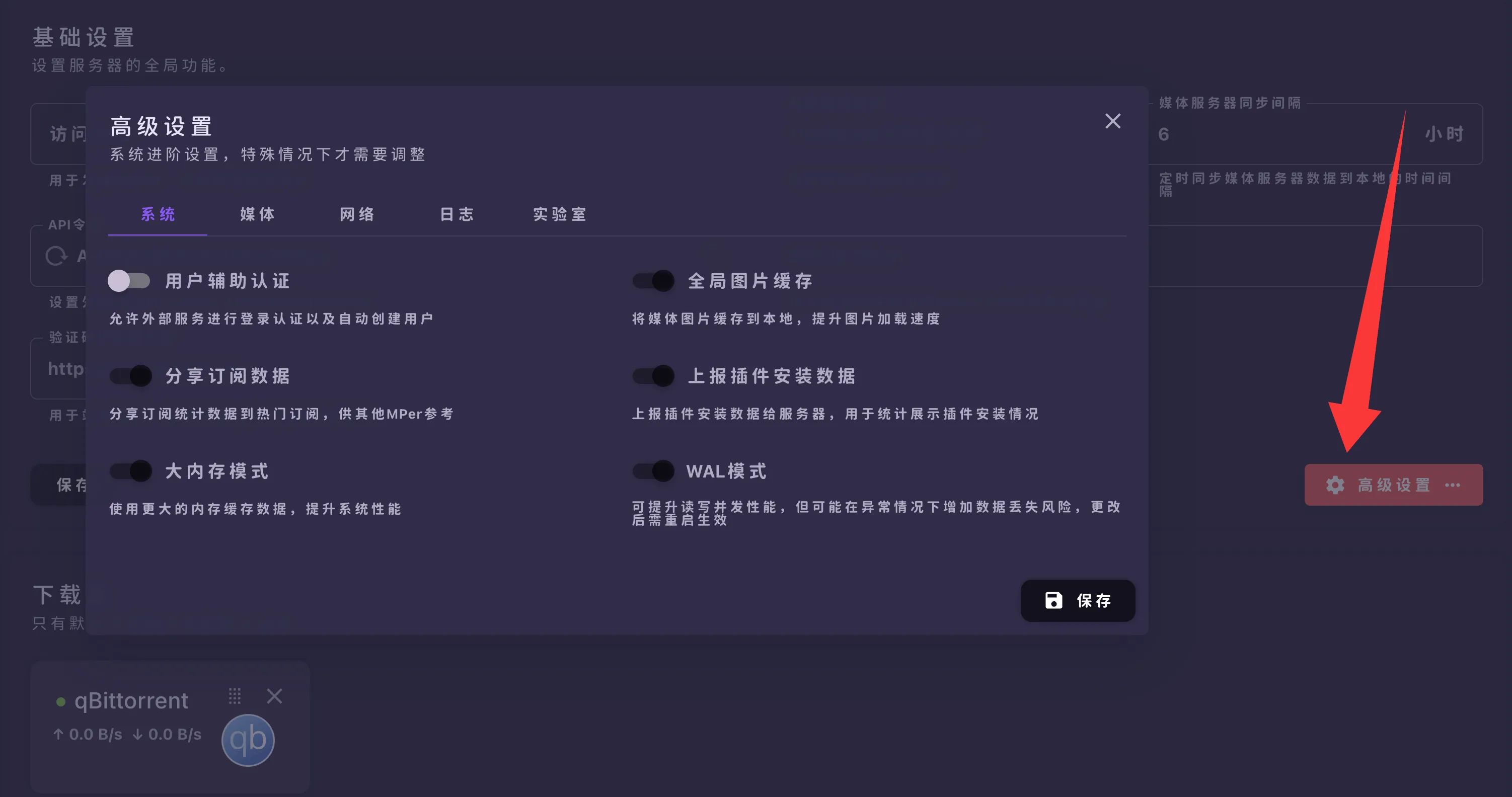 高级设置界面截图，显示各种选项和开关。